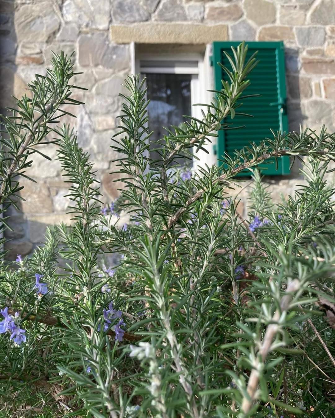 Ferienwohnung La Finestra Sul Parco La Spezia Exterior foto
